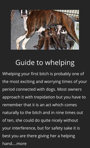 Guide to whelping Whelping your first bitch is probably one of the most exciting and worrying times of your period connected with dogs. Most owners approach it with trepidation but you have to remember that it is an act which comes naturally to the bitch and in nine times out of ten, she could do quite nicely without your interference, but for safety sake it is best you are there giving her a helping hand....more